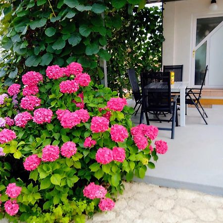 Apartments And Room Markovic Rovinjsko Selo Exterior foto