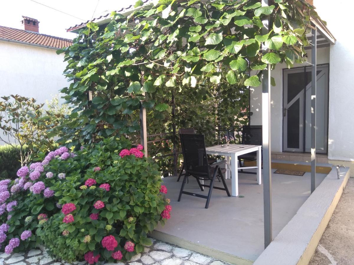 Apartments And Room Markovic Rovinjsko Selo Exterior foto